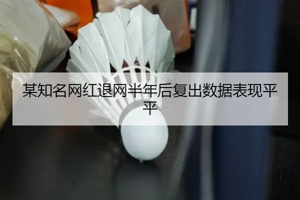 某知名网红退网半年后复出数据表现平平